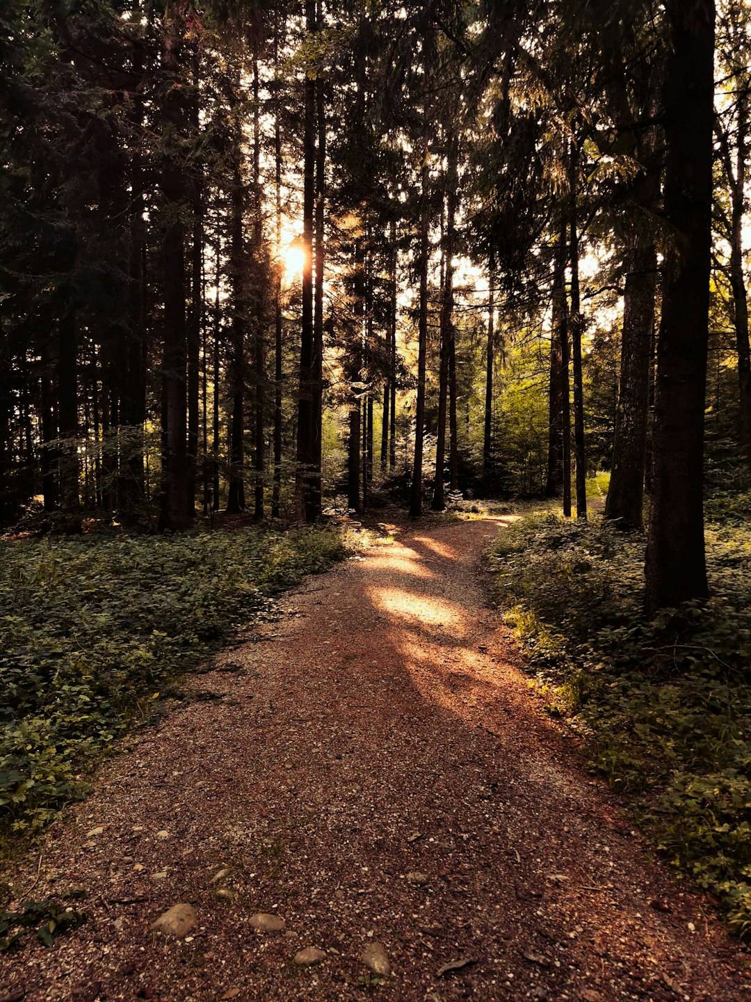 Dlaczego warto przejść 12 kroków ku pełni życia?