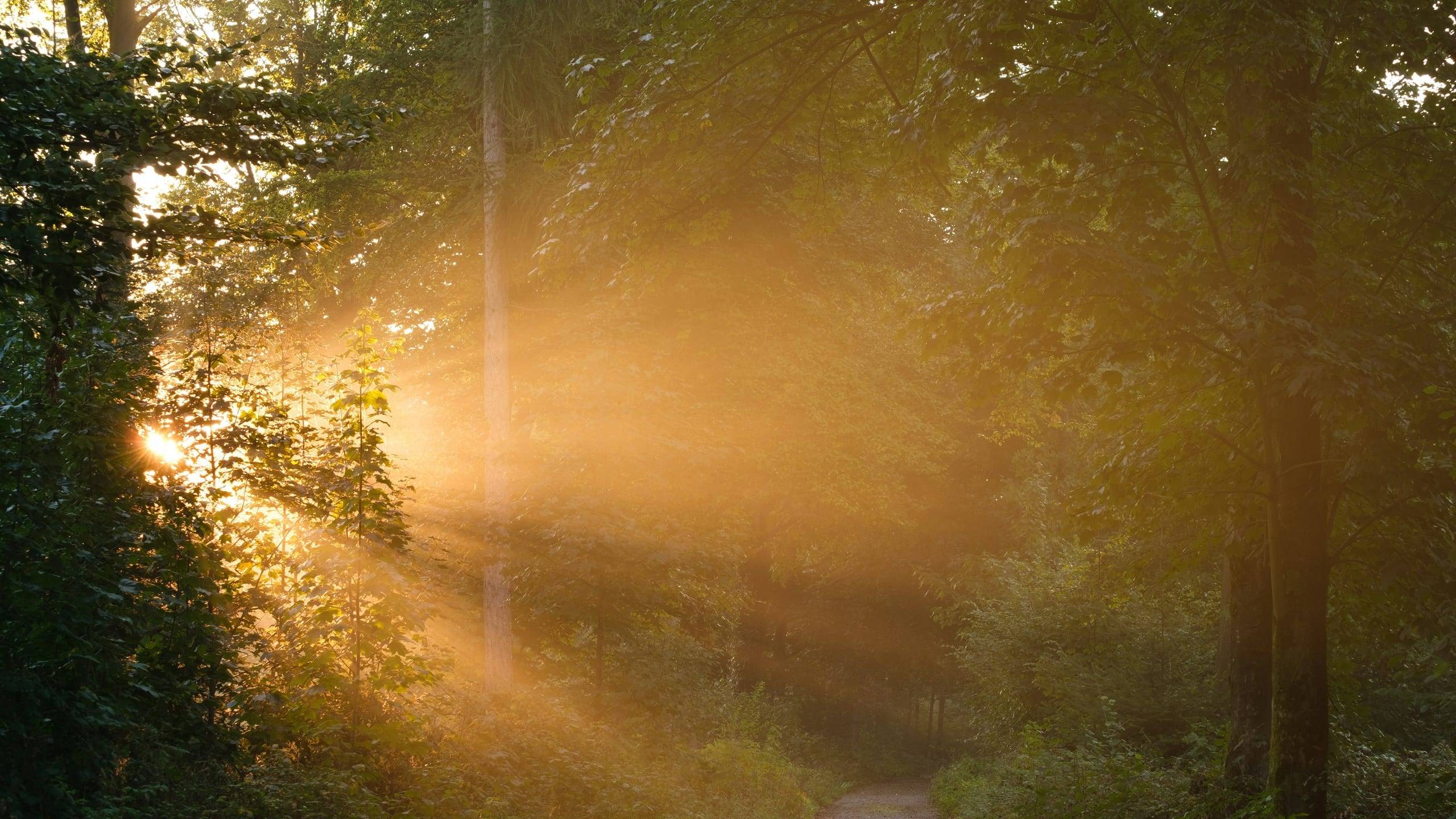 Czwartek 16:30