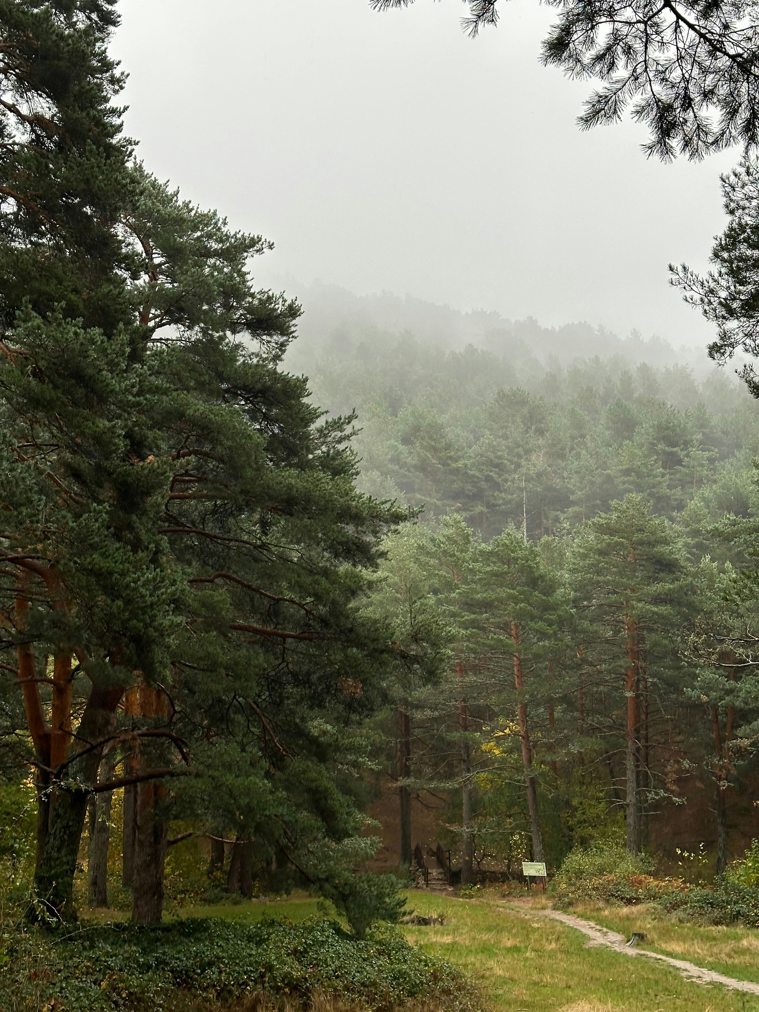 Wtorek 17:00